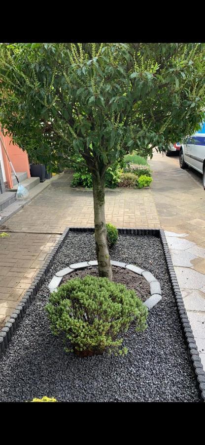 Apartamento Casa Arturo Düsseldorf Exterior foto